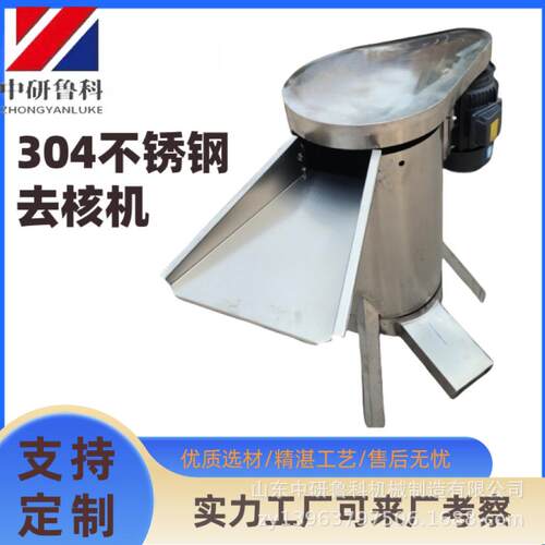 牛油果打浆去核机器 龙眼荔枝青枣工业去核机 榨汁去核配套设备
