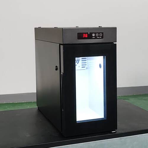 8L2~8℃玻璃门LED灯迷你牛奶冷藏冰箱SC08