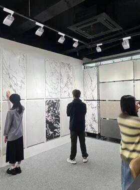 轨道铲灯瓷砖灯cob轨道射灯偏光广角可调灯展柜回廊led射灯