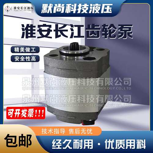 淮安长江齿轮泵RGP-F106/F111/F113/F116/F201/F202/F203精装油泵
