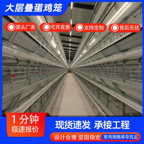 全自动化大层叠蛋鸡笼热镀锌养殖设备立式全自动化加厚蛋鸡笼设备