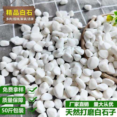 新款直销4-20cm白色鹅卵石子 洗米石 园林铺路水族造景用水磨石子