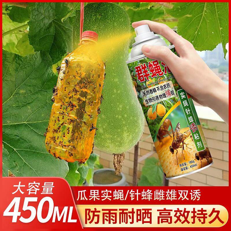 群蝇汇瓜果实蝇诱粘剂昆虫果蝇药黄板双面粘虫FX