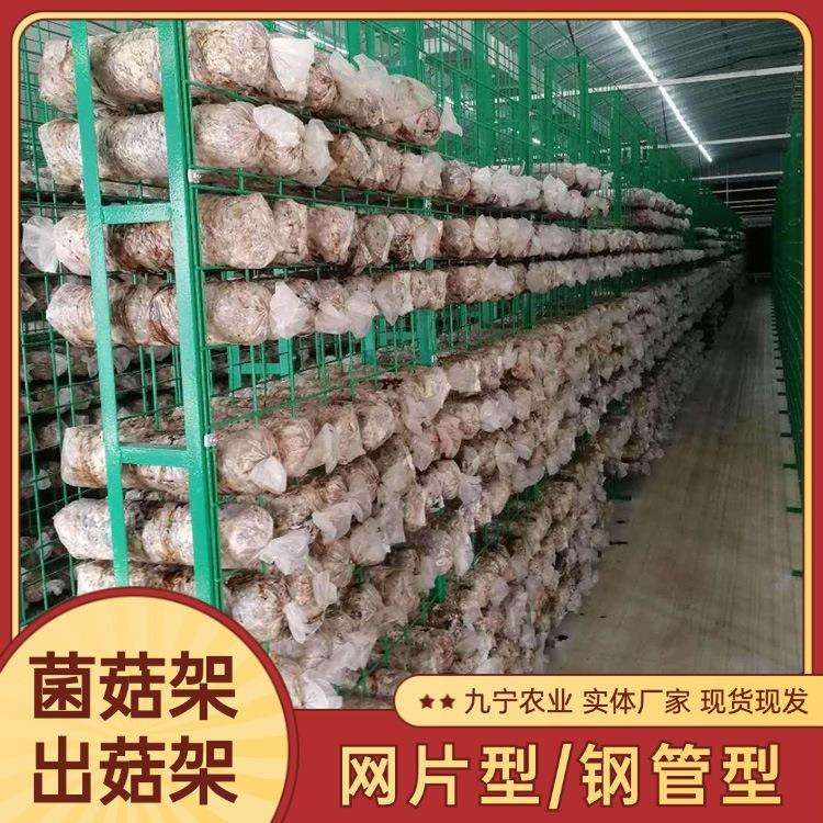 菌菇蘑菇栽培网格架 茶树菇养菌房香菇棒银耳菇架养菌出菇网片