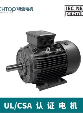 SIMOTOPMOTORYE4/IE4三相交流异步铸铁壳二级能效电机TC112M-6