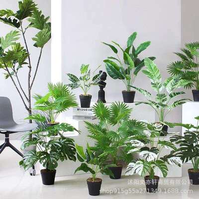 仿真绿植室内装饰盆栽仿真摆件龙舌兰扇葵南天竹香椿树假树