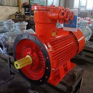 南洋电动机厂YB3系列三相隔爆低压电动机11W厂家直供
