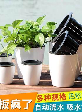 自动吸水懒人花盆绿植水培树脂盆黑白彩色恐龙蛋彷陶塑料盆