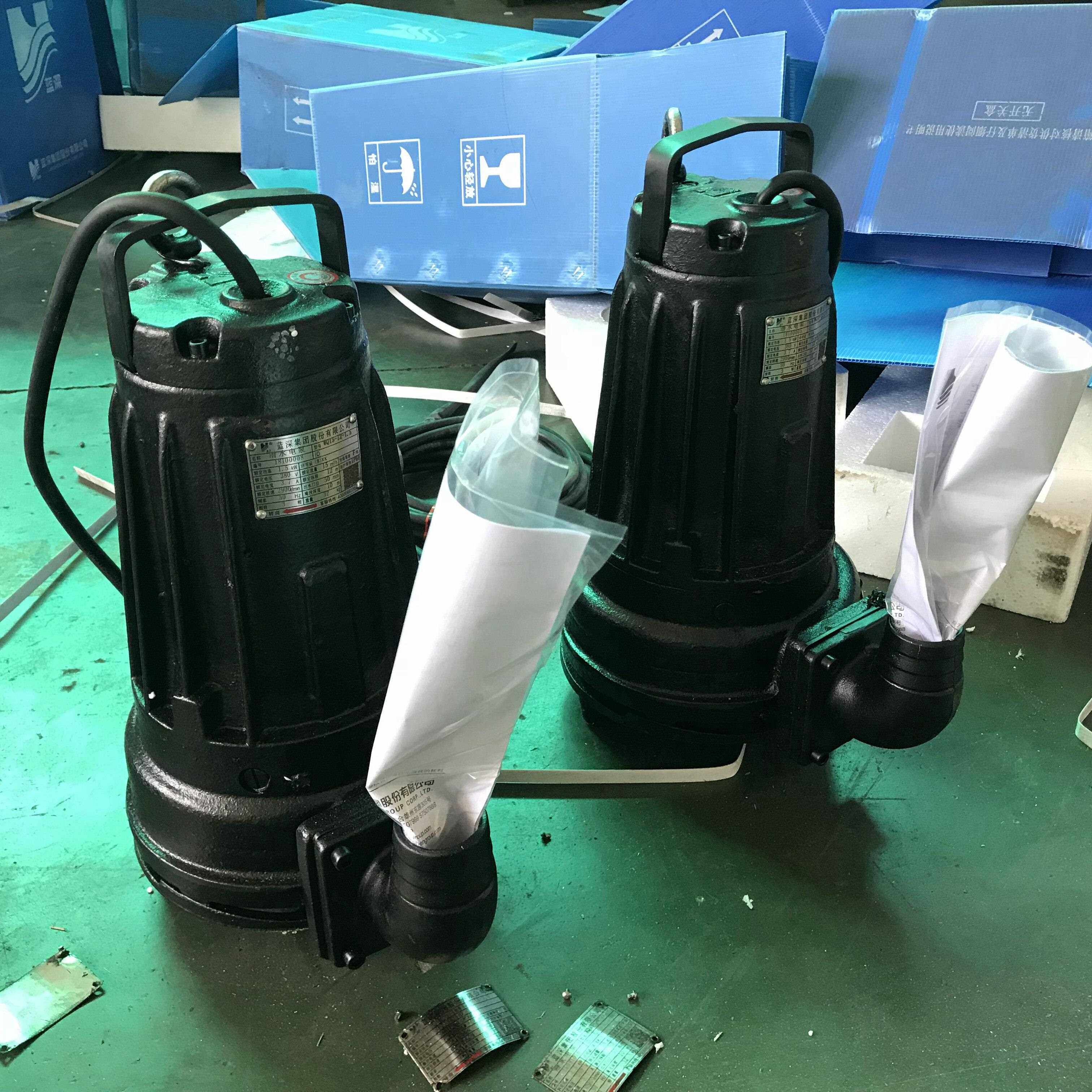 南京蓝深潜水排污泵WQ10-15-1.5KW 移动自耦式安装 生活污水泵