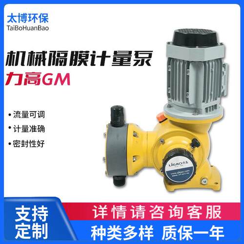 机械隔膜式计量泵GM系列 加药泵 污水处理泵