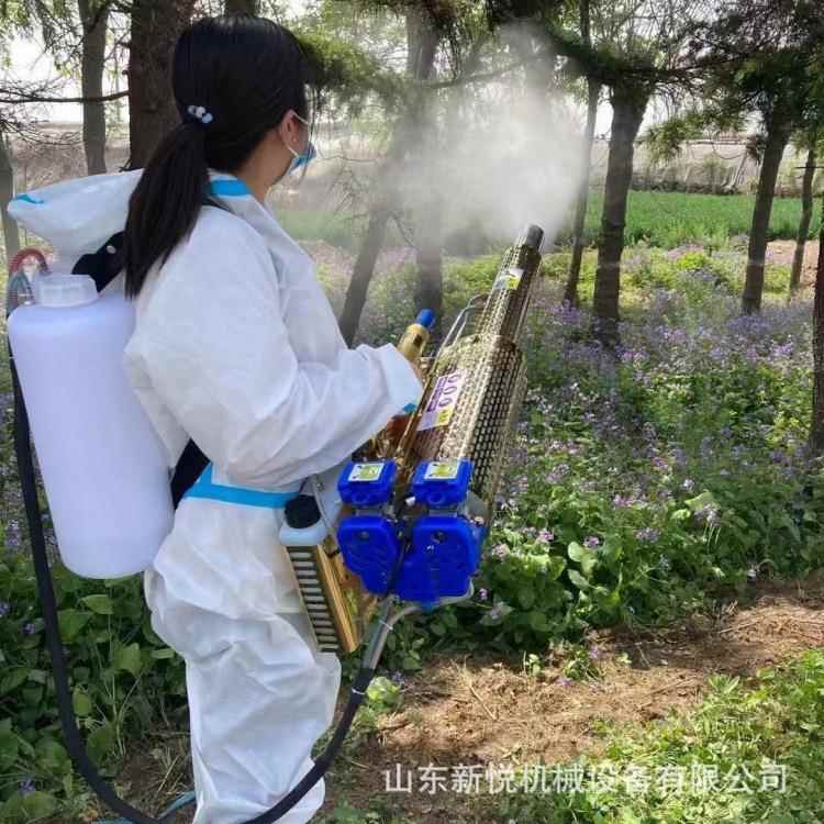 热销汽油脉冲式烟雾机小型便携式弥雾机养殖场消杀水雾烟雾迷雾机