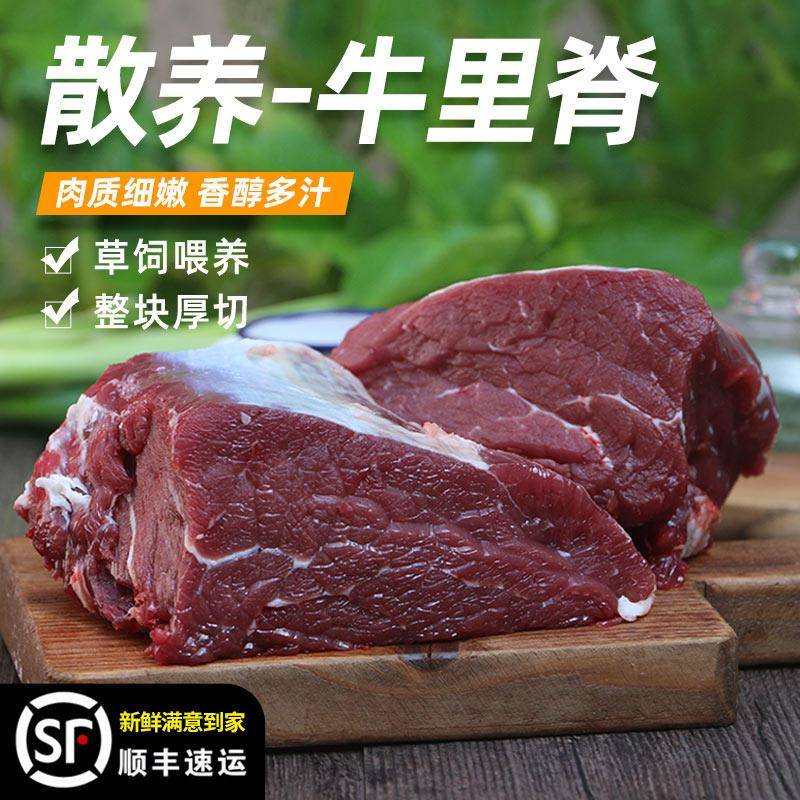 新鲜牛里脊500g 现杀黄牛生鲜牛肉 牛外脊 嫩雪花菲力牛排宝宝辅