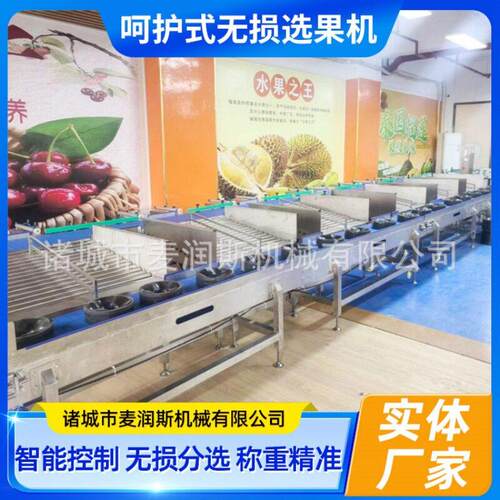 全自动凤梨分选机厂家 榴莲选果机 果蔬无损果分选机器 效率