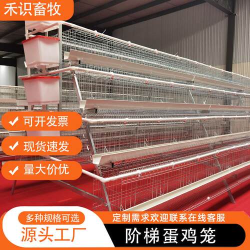 层叠式H型鸡笼鸽子鹌鹑养殖框架笼具多层热镀锌A型阶梯蛋鸡笼设备