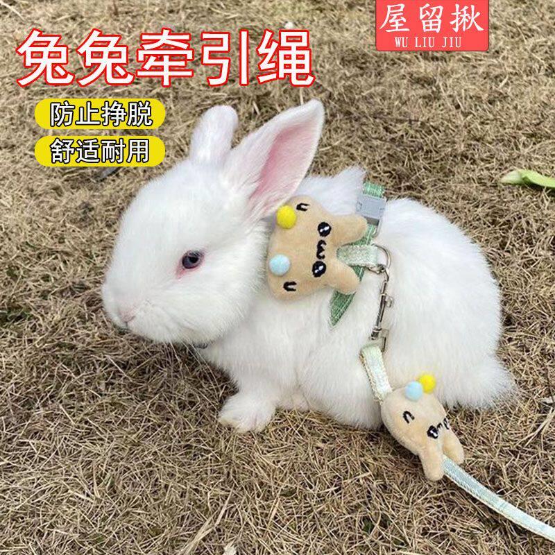 可爱兔子牵引绳可调节外出兔绳防挣脱链子侏儒宠物用品项圈绳子