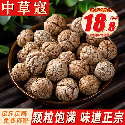 草蔻500克 中草寇仁草豆蔻草寇草扣非大老蔻粉卤料香料调料大料