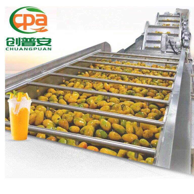 厂家供应热带刮板式打浆机水果芒果去核机芒果打浆机芒果浆加工生