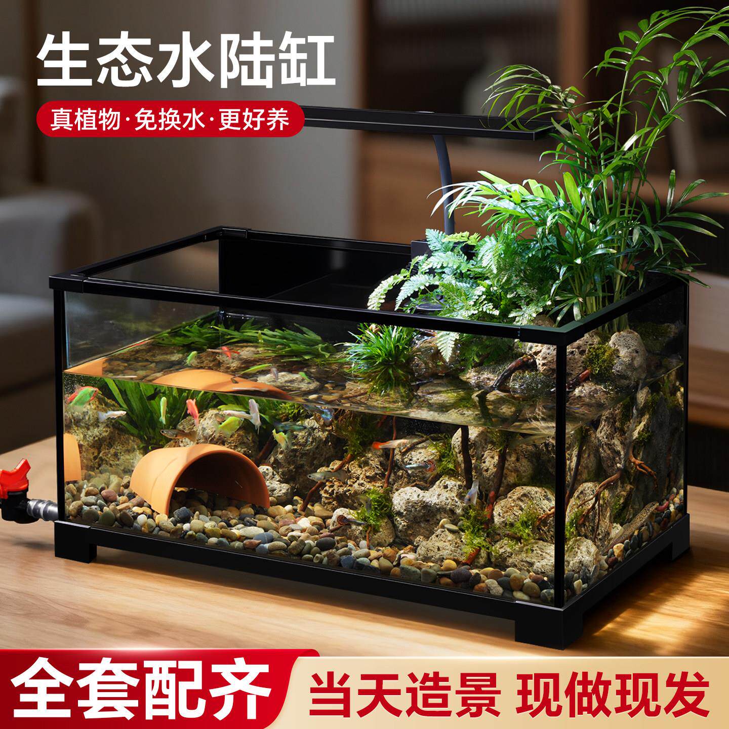 鱼缸造景全套生态造景家用玻璃缸小型造景水陆两用鱼龟混养专用缸