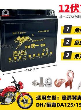适用豪爵翼爽DM/DH125 150机车免维护蓄电池12V7A统一干电瓶