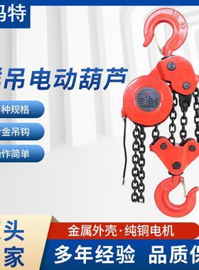 群吊电动葫芦5吨7.5吨10吨80V倒链提升机起重小葫芦重型跨境热销