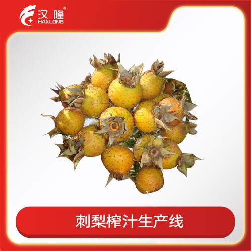 厂家直供大小型刺梨汁浓缩设备刺梨原浆饮料加工榨汁生产线流水线