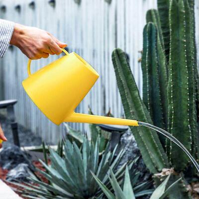 plant watering can small sprayer lovely family creative