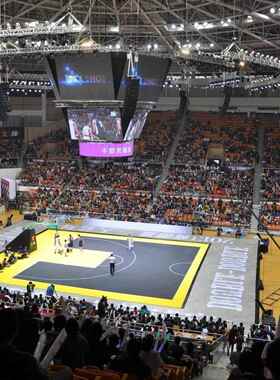 NuSun 贵宾/泰迪幼犬犬粮 2500g专业大功率专业箱舞音响音双1台5