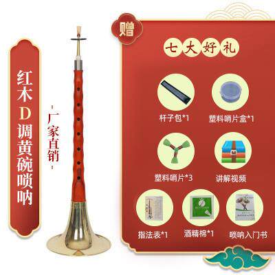 高档王喇家彪专业乌木檀黑木唢呐乐器初学者全套调民族乐器叭d小