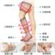 电动腿部按摩器空气波腿部按摩器家用揉捏腿部小腿热敷按摩器