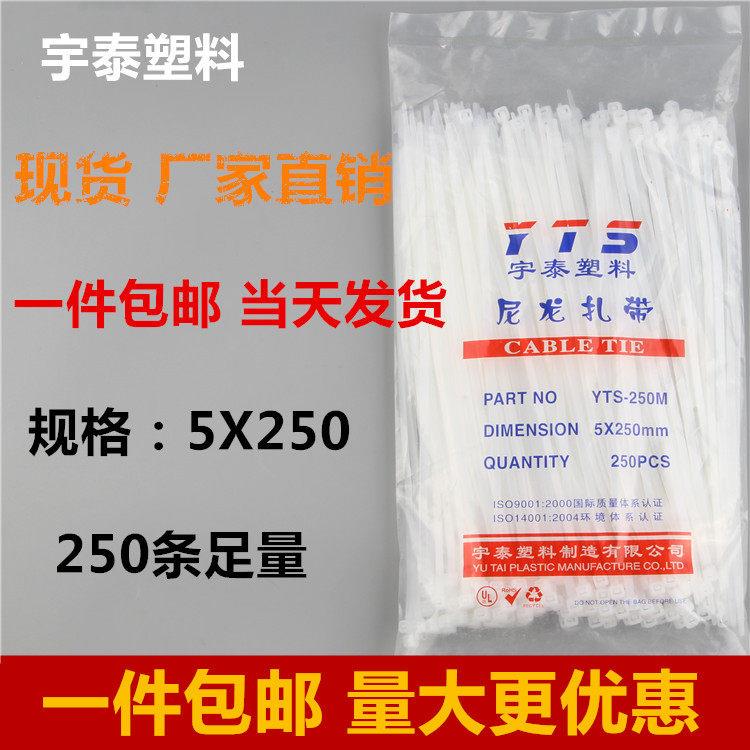 5*250mm白色塑料自锁式尼龙扎带封条 固定塑料捆线 线带直销捆线