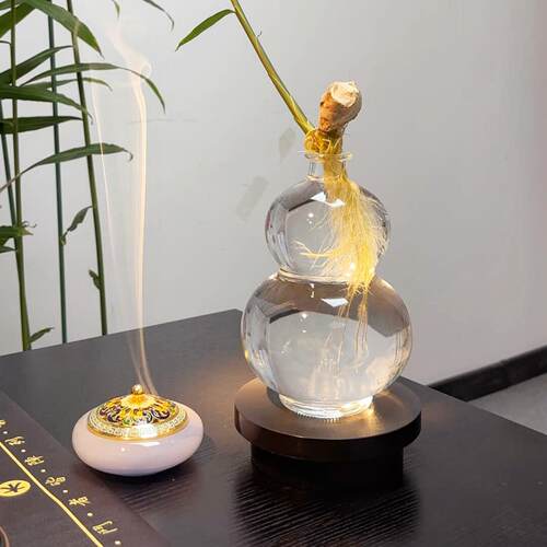 【福禄】玻璃葫芦花瓶禄根生姜盆栽水培花盆器皿绿植摆件招财纳福
