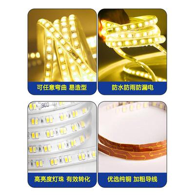 TRIAC2v43程706700266v工低压防水灯带led户外白光超亮地隧道地下