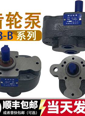 cb-b液压油泵齿轮泵小型b50液压泵b32高压b63微型cbb一b10 b16钢