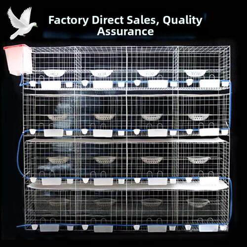 鸽子笼配对笼养殖繁殖肉鸽笼室外家用12位种鸽配对笼双层鸽子笼