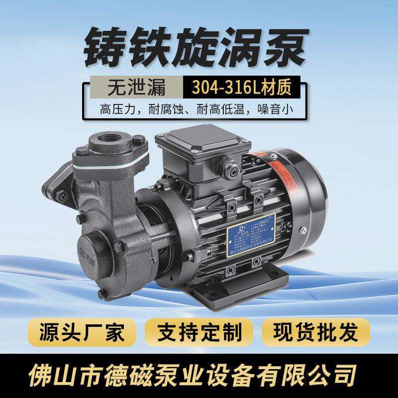 德磁厂家直供微型热水泵低温循环泵压泵耐温导热油泵不锈钢