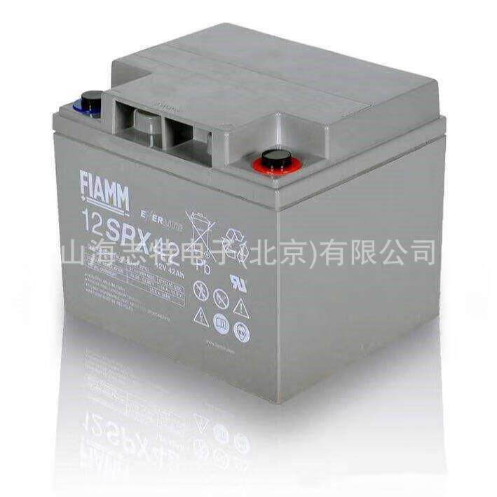 意大利非凡蓄电池2SLA800/G 胶体免维护2V800AH太阳能储能蓄电池