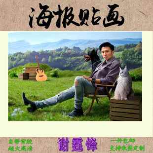 谢霆锋海报贴画装饰画120厘米x80厘米男歌手防水自粘背胶大幅高清