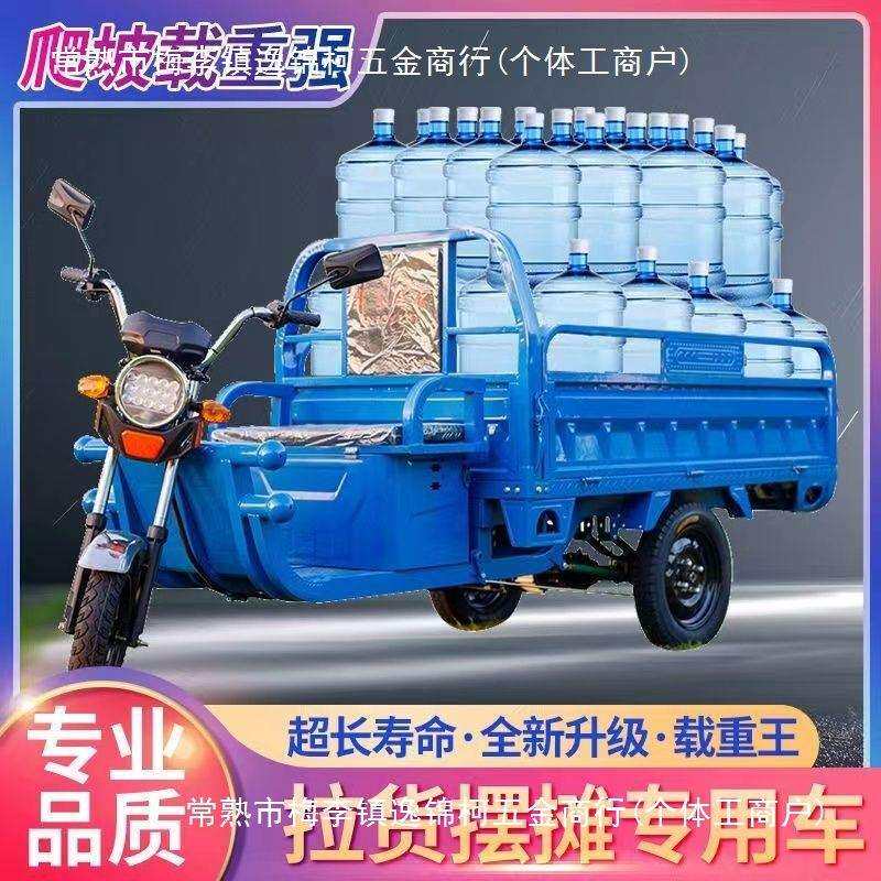 电动三轮车成人代家用货车载货王电瓶加强山区版爬坡摆地摊三轮车