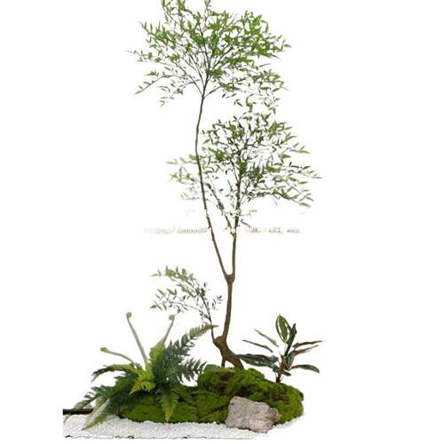 森空间仿真绿植造景入户楼梯橱窗微景观玄关角落植物摆件苔藓软装