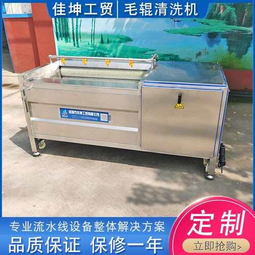 生蚝海蛎子毛刷清洗机贝壳毛辊清洗机根茎类果蔬去皮清洗设备