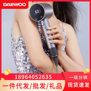 大宇新款 吹风机家用HD04负离子高速恒温护发低噪音大风力电吹风