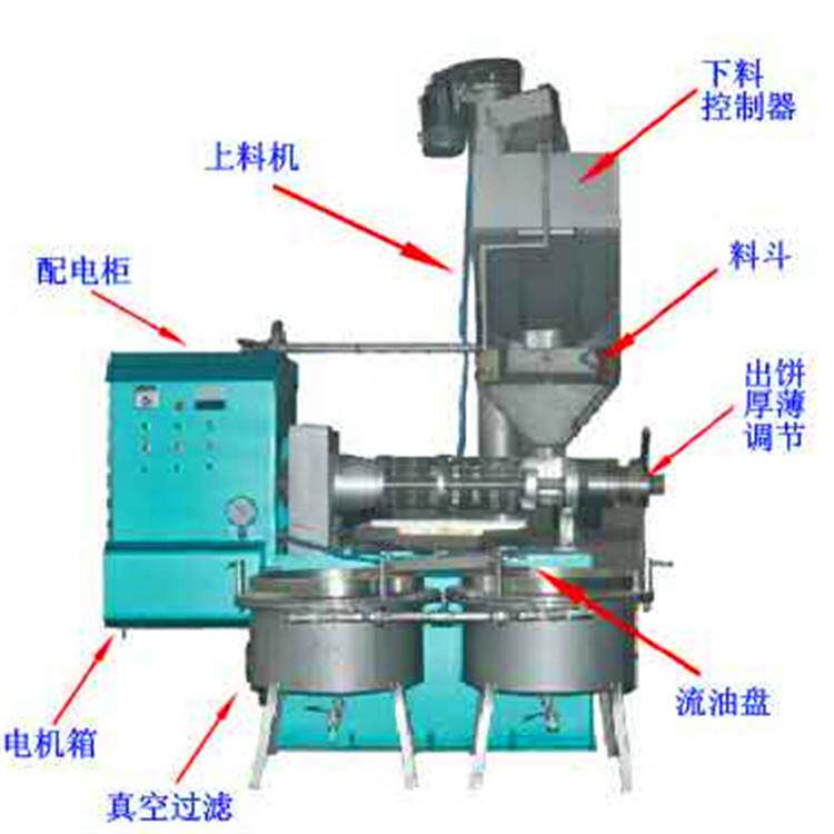 冷热两用螺旋榨油机 香油机 大中型家用商用