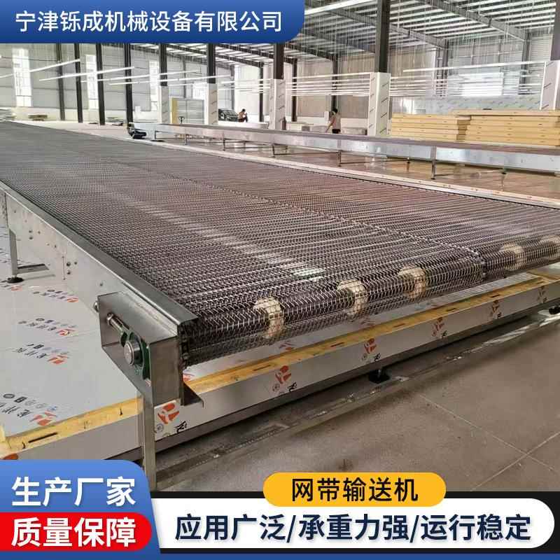 网带输送机颗粒块状物料化工冶金果蔬风干清洗机不锈钢网带输送机