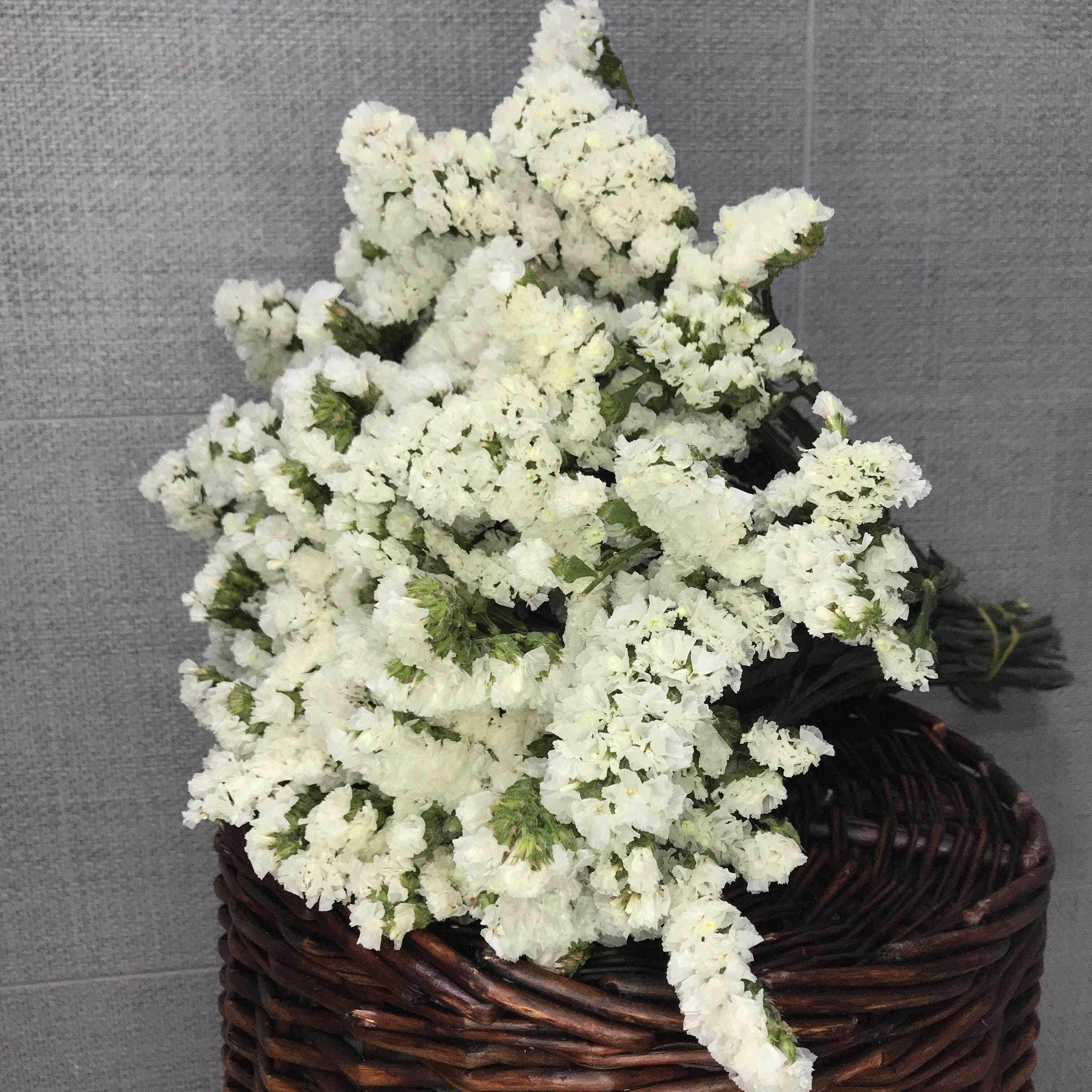 干花花束装饰摆件真花节日风干勿忘我家居摆设网红ins干花包邮