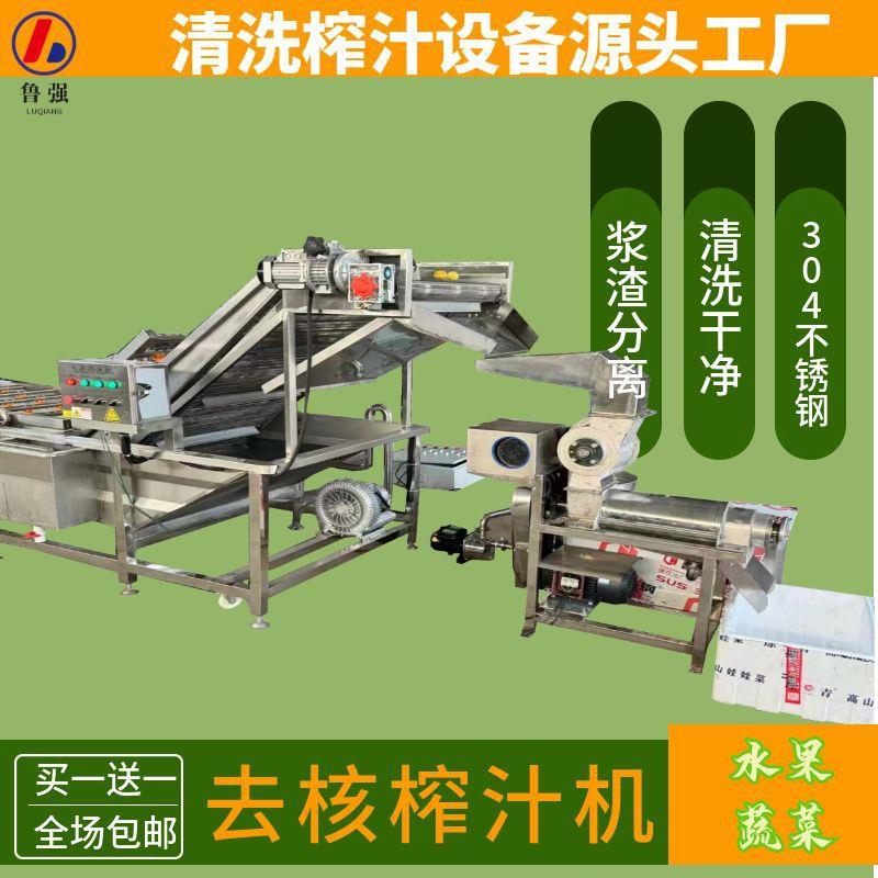 大型生姜汁半自动成套设备 鲁强牌生姜榨汁机 商用生姜大蒜压汁机