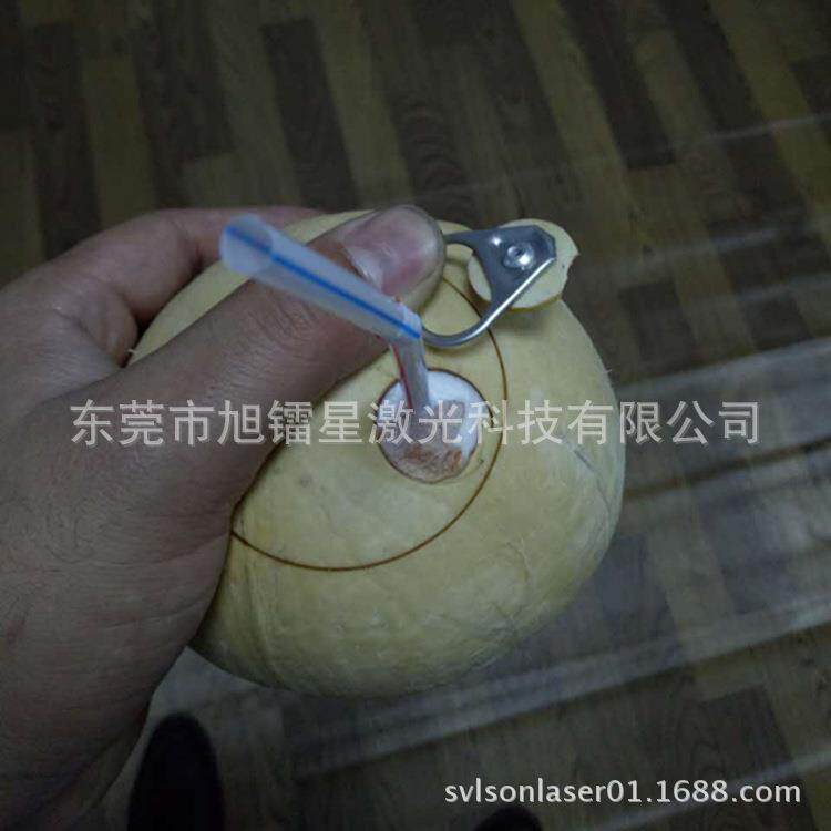 供应椰子切割机 椰子开盖激光设备 16工位椰子拉环开口镭射机厂家