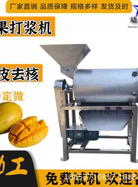 榴莲草莓除杂打浆机水果留或去籽制浆机全自动蔬菜打浆机