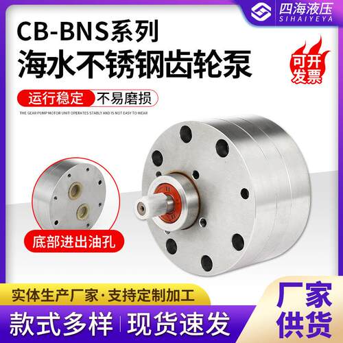 CB-BNS系列海水不锈钢齿轮泵 化工泵 不锈钢齿轮油泵