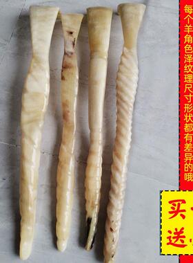 正品天抓然藏羊角不求人痒痒挠痒抓背部大号牛角按摩 背小扒子 头