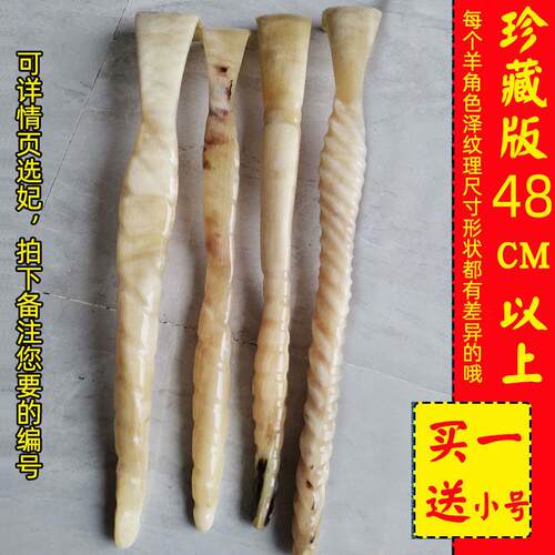 高档天然头藏羊角不求人痒痒子挠抓痒背部角大号牛按摩 抓背小扒